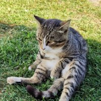 - Рыбу не дают, на рыбалку не берут... :: Валерий Судачок