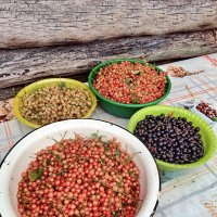 Ягоды из своего сада :: Валерий Судачок