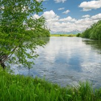 ... :: Жора Житников