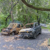 Коротнуло :: Валерий Иванович Коротнуло :: Валерий Иванович