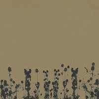 чертополох. сумерки :: Николай Семёнов