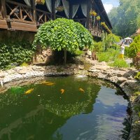 Парк Лога :: Татьяна Пальчикова