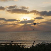 Полет на закате :: Michael M