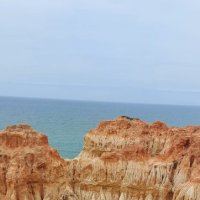 На юге Португалии :: Ирэн 