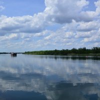 Дон . :: Виктор 