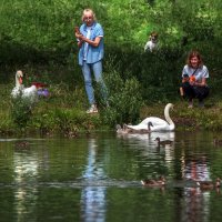 *** :: Владимир Безбородов