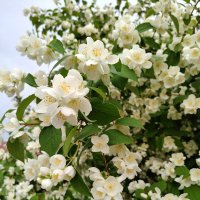 ))) :: Андрей ))) :: Андрей