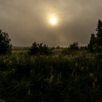 Рано :: sorovey Sol