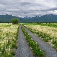 ... :: Жора Житников