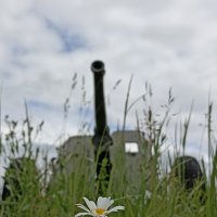 Миру - мир! :: Pippa Миру - мир! :: Pippa