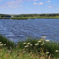 Пруд :: Любовь Сахарова