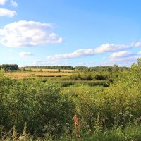 Родные просторы :: Любовь Сахарова