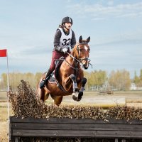 Кросс :: SanSan 