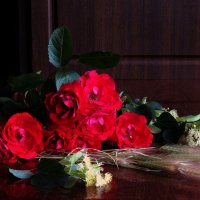 Роза :: Роман Савоцкий