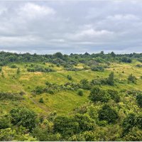 Природа Филинской бухты. :: Валерия Комова