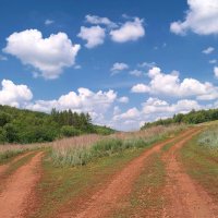 На развилках июля... :: Андрей Заломленков На развилках июля... :: Андрей Заломленков