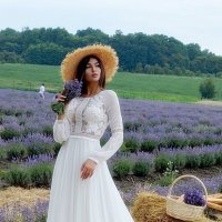 На лавандовому полі :: Степан Карачко