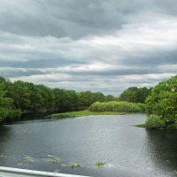 Река Веряжка :: Александр Ильчевский 