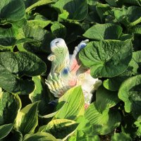 дачное :: Елена Шаламова