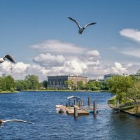 Река Средняя Невка :: Сергей Шатохин 