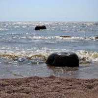 "У бегемота нету талии .." :: AleksSPb Лесниченко