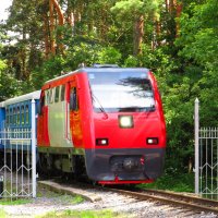 Появился из-за леса :: Андрей Снегерёв Появился из-за леса :: Андрей Снегерёв