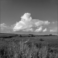 Летний зной :: Наталья Rosenwasser Летний зной :: Наталья Rosenwasser