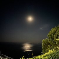 Эта лунная ночь! :: Надежда 