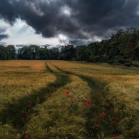 Суровое германское лето! :: Игорь Геттингер (Igor Hettinger)