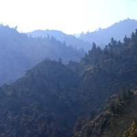 ПО НИЗАМ. :: Виктор Осипчук