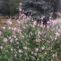 Talgar. :: Murat Bukaev Talgar. :: Murat Bukaev