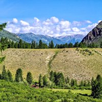 Алтай :: Виктор Фоменко