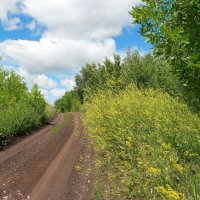 На прсёлках лета... :: Андрей Заломленков