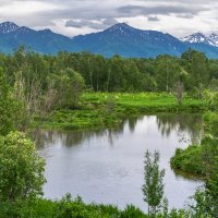 ... :: Жора Житников