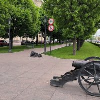 Прогулка по Петроградской набережной. :: Ольга 