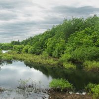 Река Видогощь :: Александр Ильчевский Река Видогощь :: Александр Ильчевский