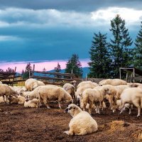 Карпати :: Степан Карачко Карпати :: Степан Карачко