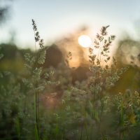 Тихий вечер :: Олег Дорошенко