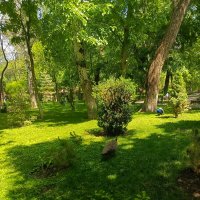 Парк Лога :: Татьяна Пальчикова