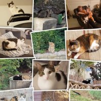 Фото из моих фотографий :: Светлана Хращевская Фото из моих фотографий :: Светлана Хращевская