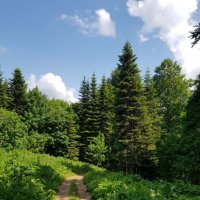 СЕВЕРНЫЙ КАВКАЗ :: Tata Wolf