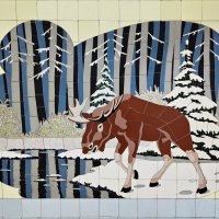 К водичке! :: Надежда 