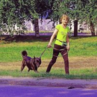 Июль...Упрямый пес! :: Владимир 