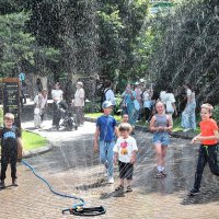 Водные процедуры в зной. :: Татьяна Помогалова