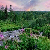 Июльский вечер в тайге :: Алексей Мезенцев