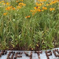 доброе утро! :: Михаил Столяров