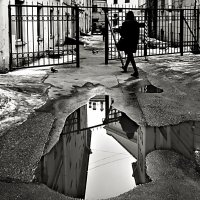 Петербургский январь. :: Игорь Викторов Петербургский январь. :: Игорь Викторов