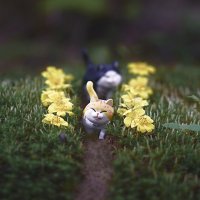 Макро беспредел) :: Эдуард Куклин