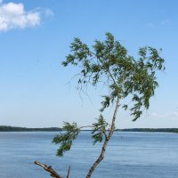 "Синоптик" :: DimaShu Shu "Синоптик" :: DimaShu Shu