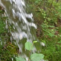 Скорость падения воды :: Сергей Шаврин